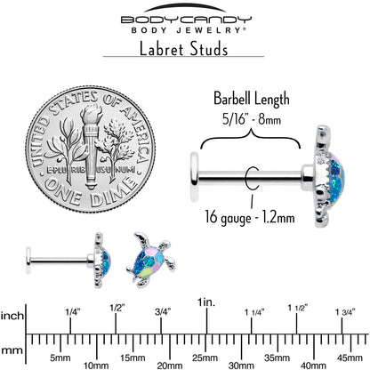 16G 5/16 Glitter Turtle Labret Monroe Tragus