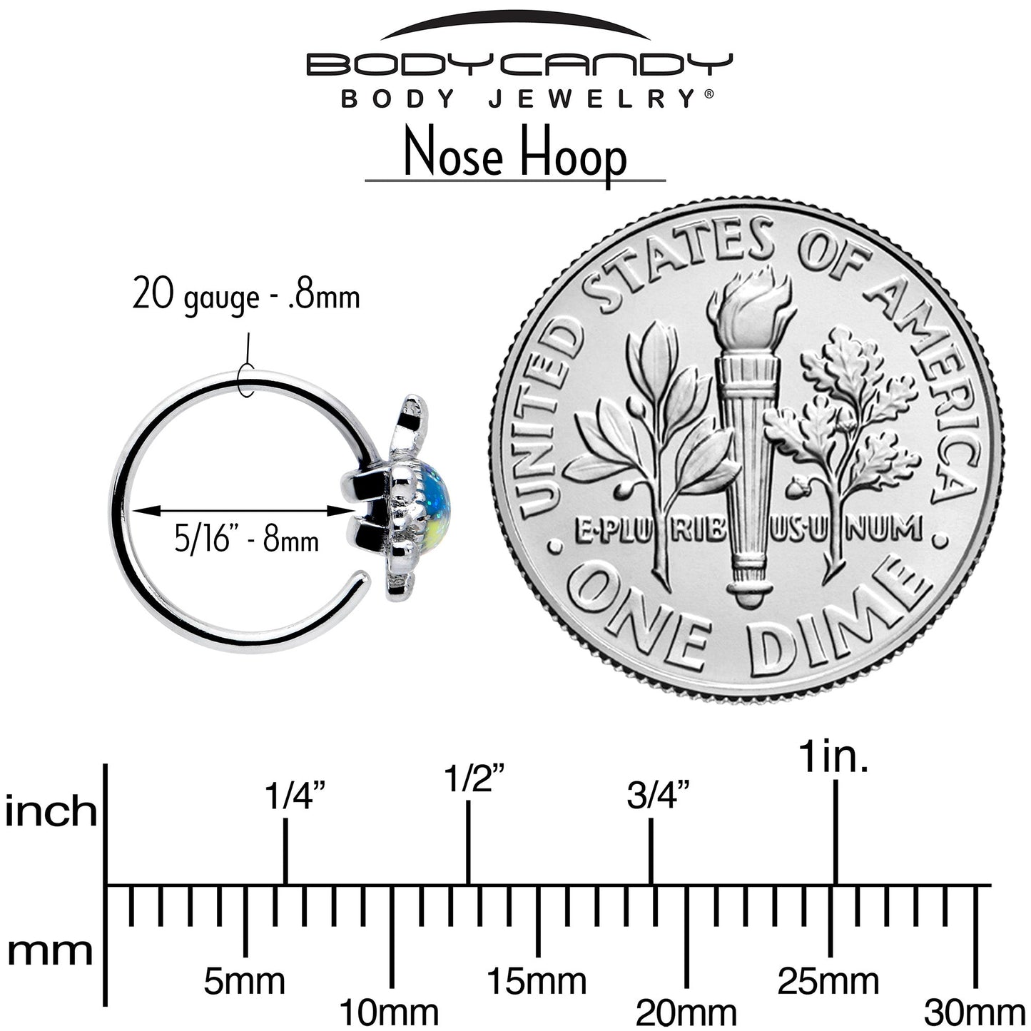 20G 5/16 Glitter Turtle Nose Hoop