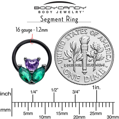 16G 3/8 Purple Green CZ Gem Black Love Flower Hinged Segment Ring