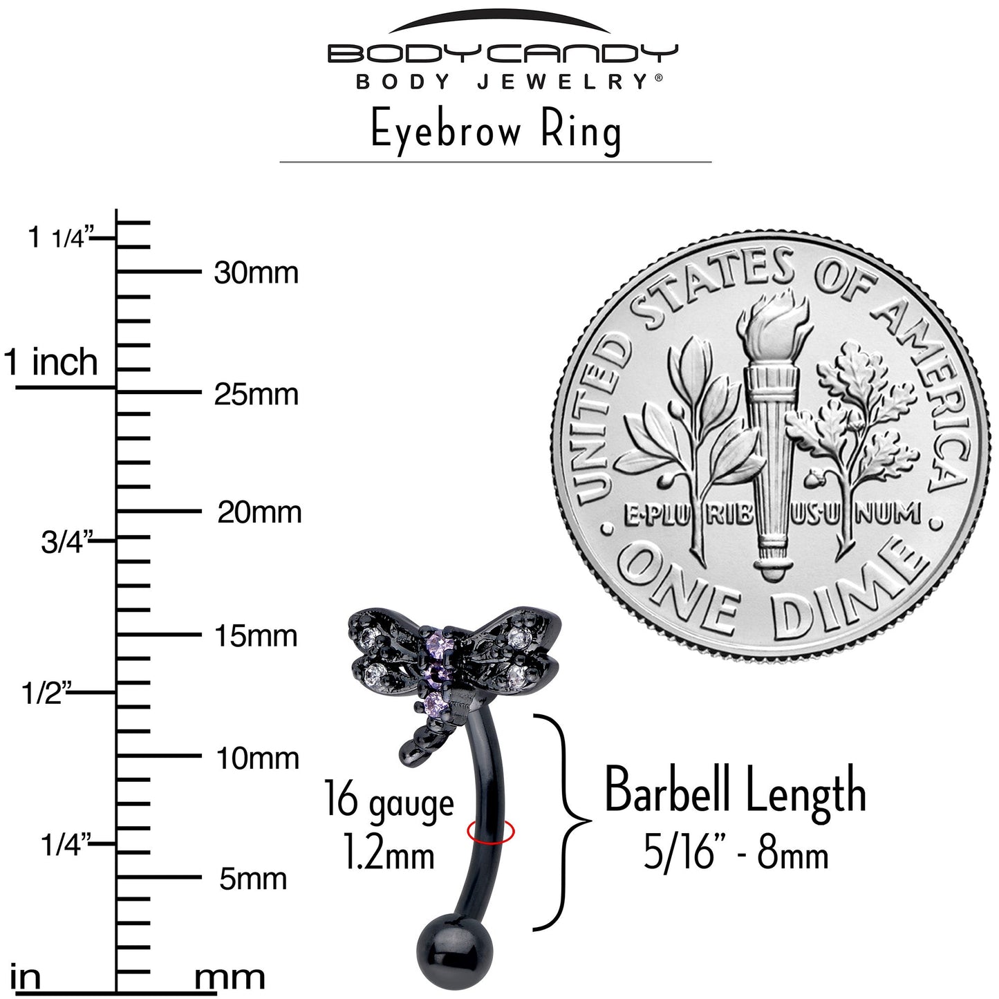 16G 5/16 Purple CZ Gem Black Night Dragonfly Curved Eyebrow Ring