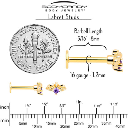 16G 5/16 Purple Gem Gold Tone Beauty Bug Labret Monroe Tragus