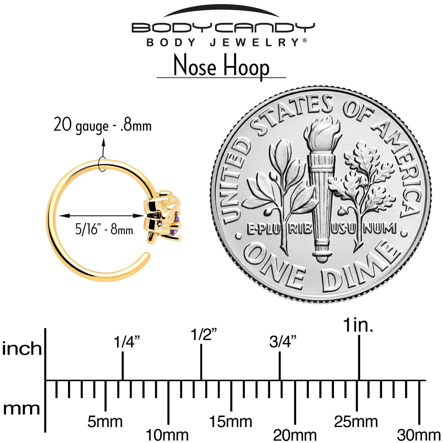 20G 5/16 Purple Gem Gold Tone Beauty Bug Nose Hoop