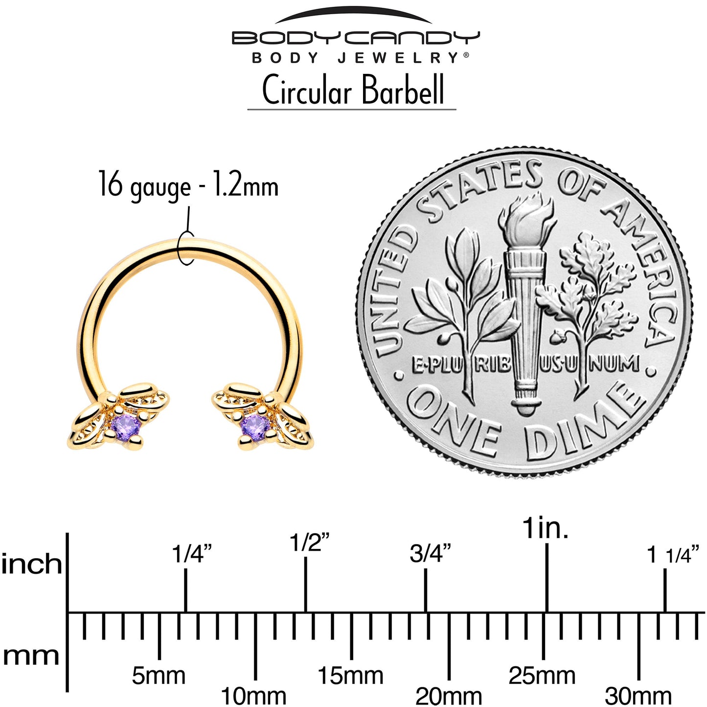 16G 3/8 Purple Gem Gold Tone Beauty Bug Horseshoe Circular Barbell