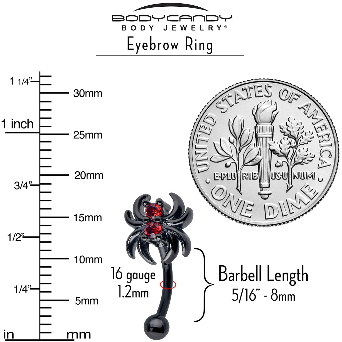 16G 5/16 Red CZ Gem Black Sleek Spider Curved Eyebrow Ring