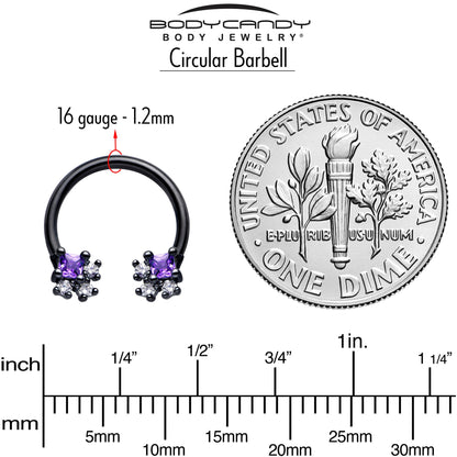 16G 3/8 Purple CZ Gem Black Rhombus Riot Horseshoe Circular Barbell