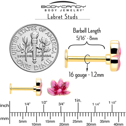 16G 5/16 Clear Gem Gold Tone Ladybug Lotus Labret Tragus Set of 3