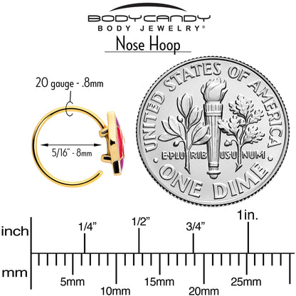 20G 5/16 Gold Tone Tropical Fish Nose Hoop Set of 3