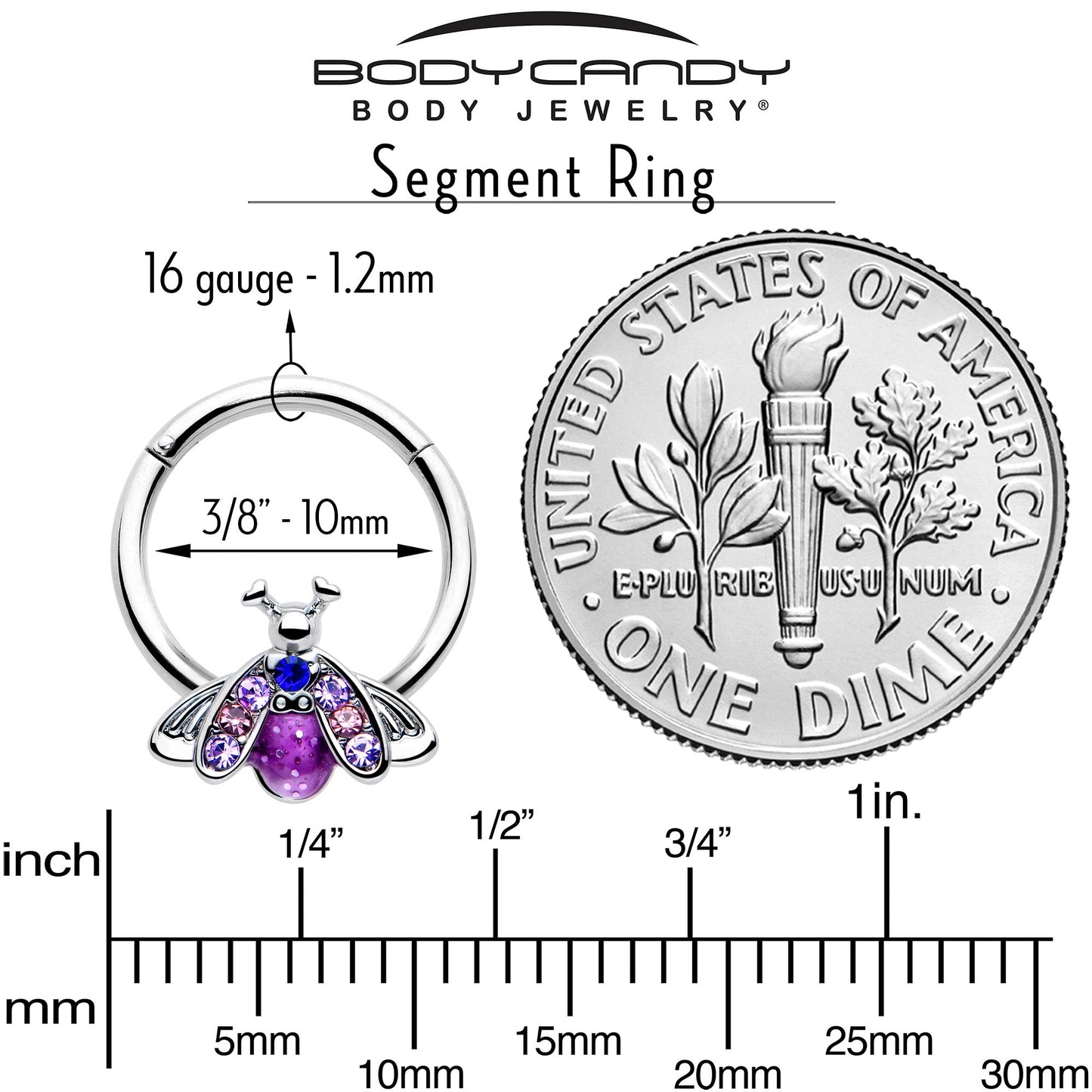 16G 3/8 Pink Blue Gem Beautiful Insect Hinged Segment Ring