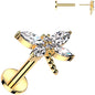 Gold Tone Surgical Steel Flat Back Earring - 16G With Cubic Zirconia Dragonfly