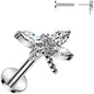 Surgical Steel Flat Back Earring - 16G With Cubic Zirconia Dragonfly