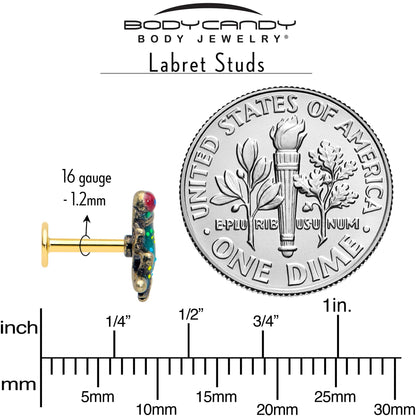 16G Frog Flat Back Earring Set Internally Threaded 3 Pack