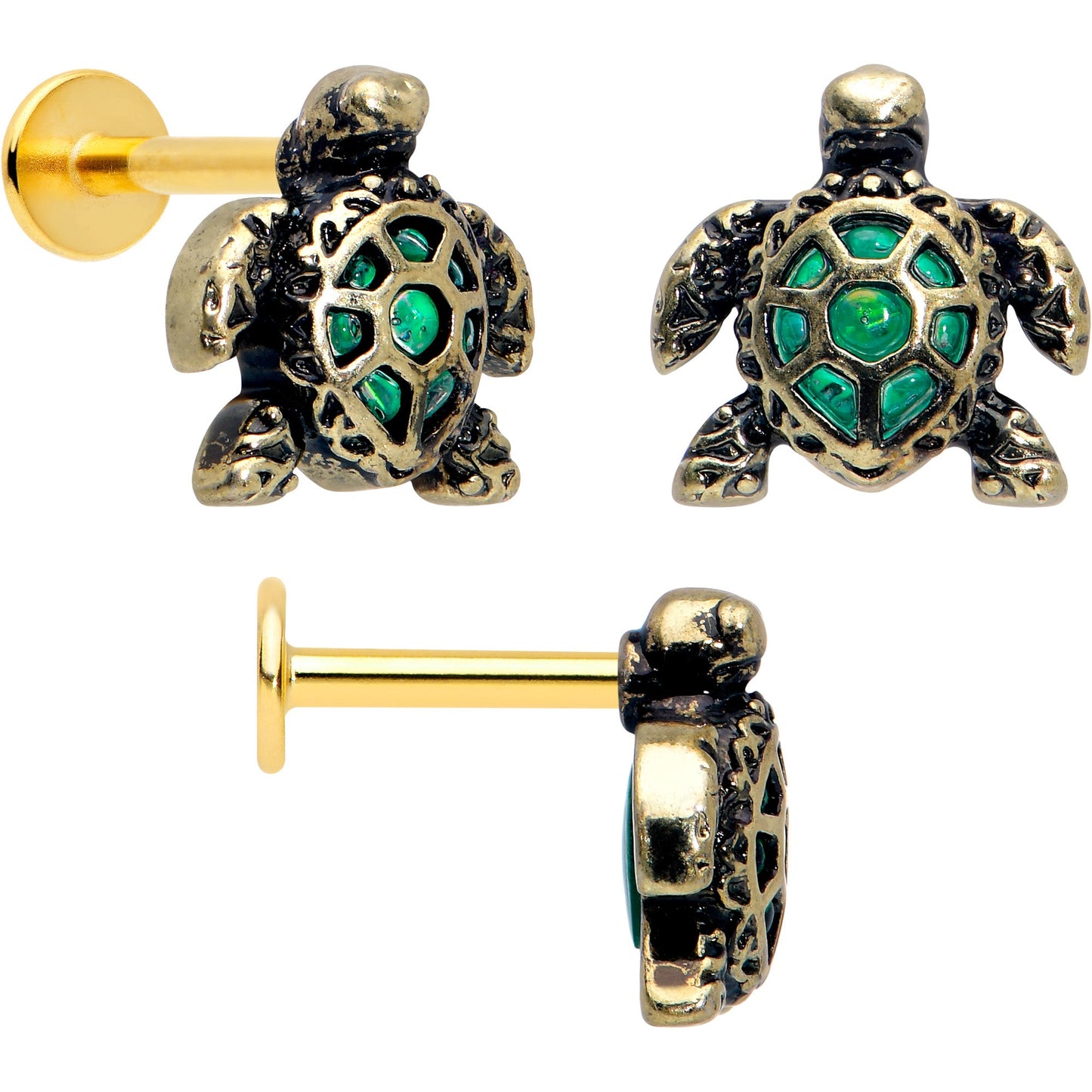 16G Sea Turtle Flat Back Earring Set Internally Threaded 3 Pack