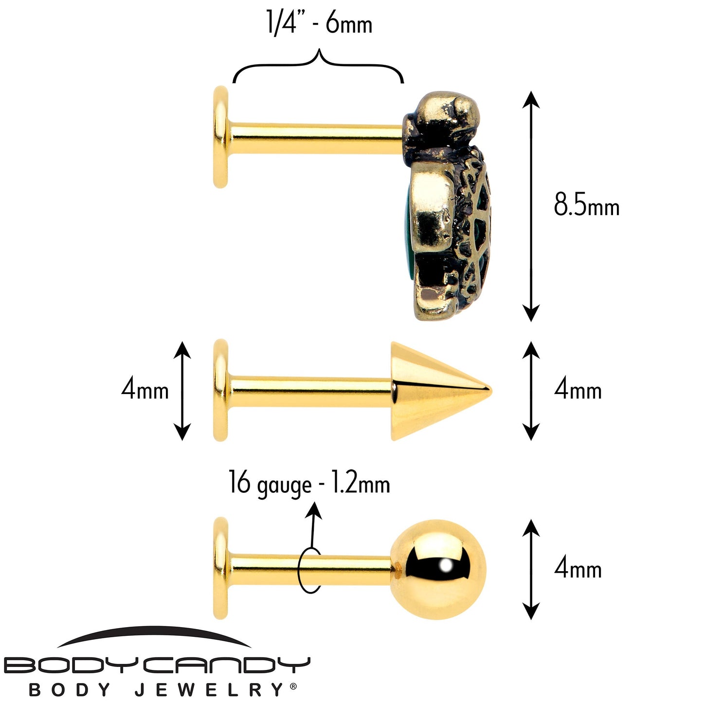 16G Sea Turtle Flat Back Earring Set Internally Threaded 3 Pack
