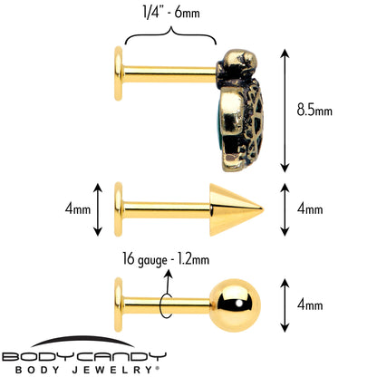 16G Sea Turtle Flat Back Earring Set Internally Threaded 3 Pack