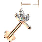 16G 1/4 CZ Gem Leaves Rose Gold PVD Medical Grade Titanium Reversible Flat Back Earring