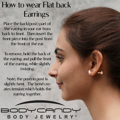 16G 1/4 CZ Gem Leaves Rose Gold PVD Medical Grade Titanium Reversible Flat Back Earring