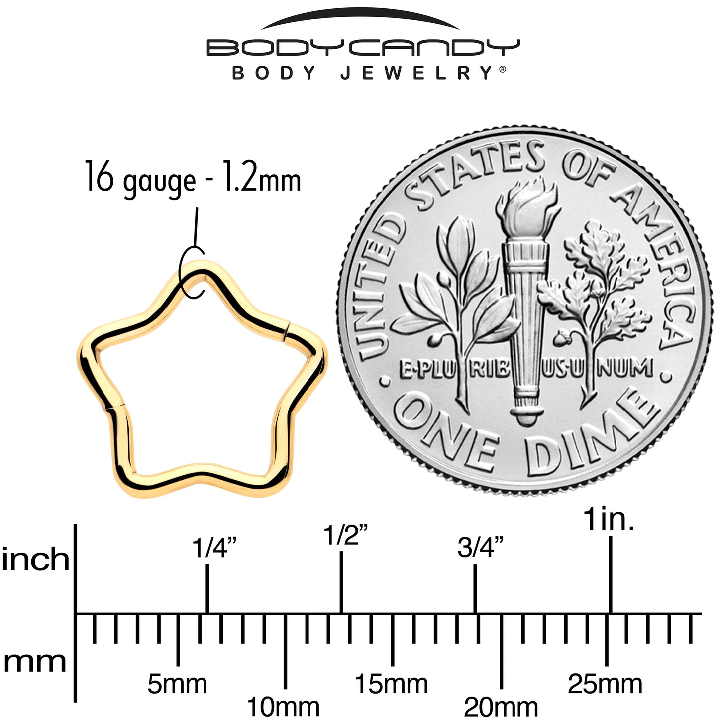 16G 5/16 Gold Tone Star Shaped Hinged Segment Ring