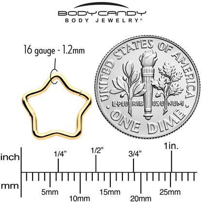16G 5/16 Gold Tone Star Shaped Hinged Segment Ring