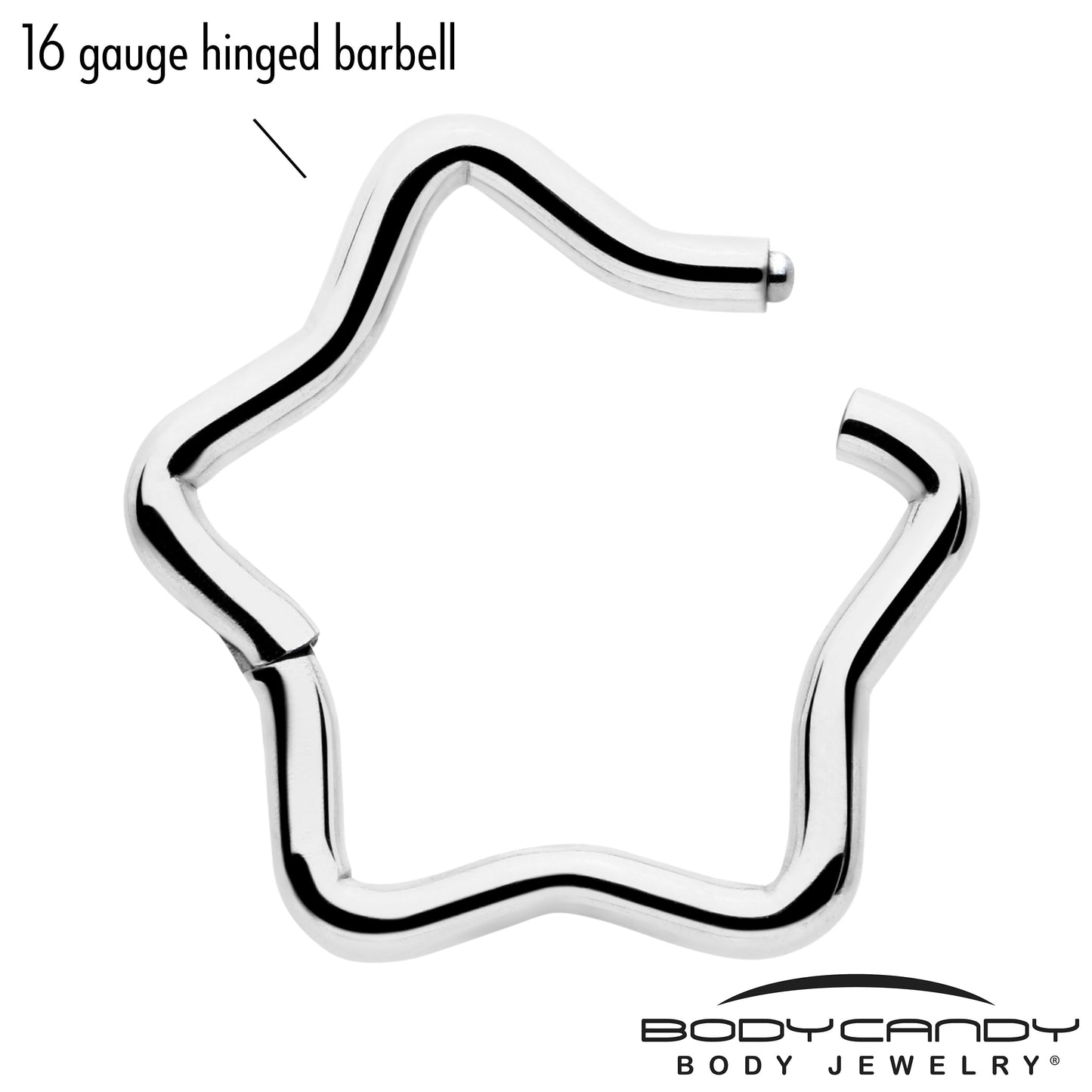 16G 5/16 Star Shaped Hinged Segment Ring