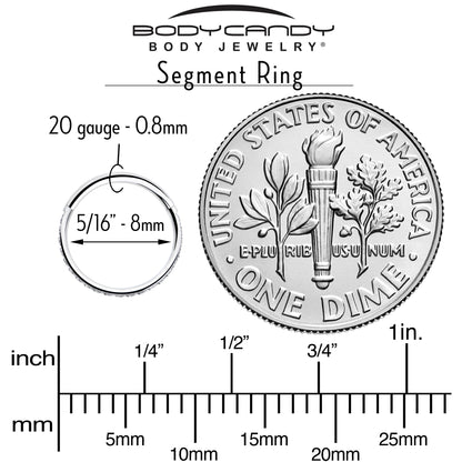 20G 5/16 Clear Cubic Zirconia Forward Facing Hinged Segment Ring