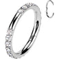 Implant Grade Titanium Forward CZ Double Sided Hoop Segment Ring