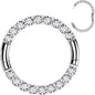 16G Implant Grade Titanium CZ Double Row Hoop Segment Ring