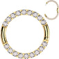 16G Implant Grade Titanium CZ Double Row Hoop Segment Ring