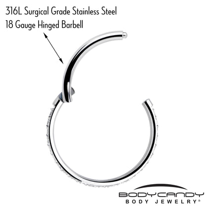 18G 3/8 Clear CZ Gem Titanium Forward Facing Hinged Segment Ring