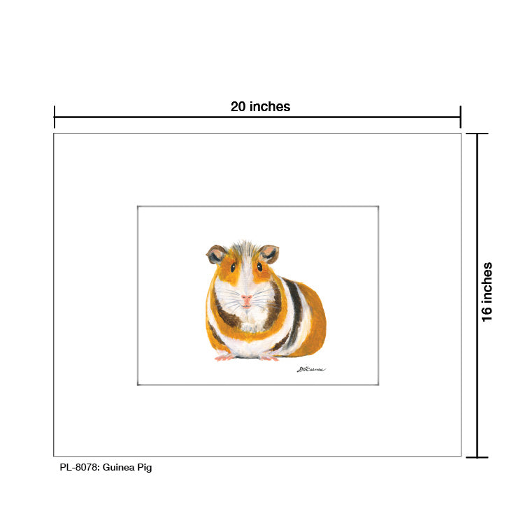 Guinea Pig, Print (#8078C)
