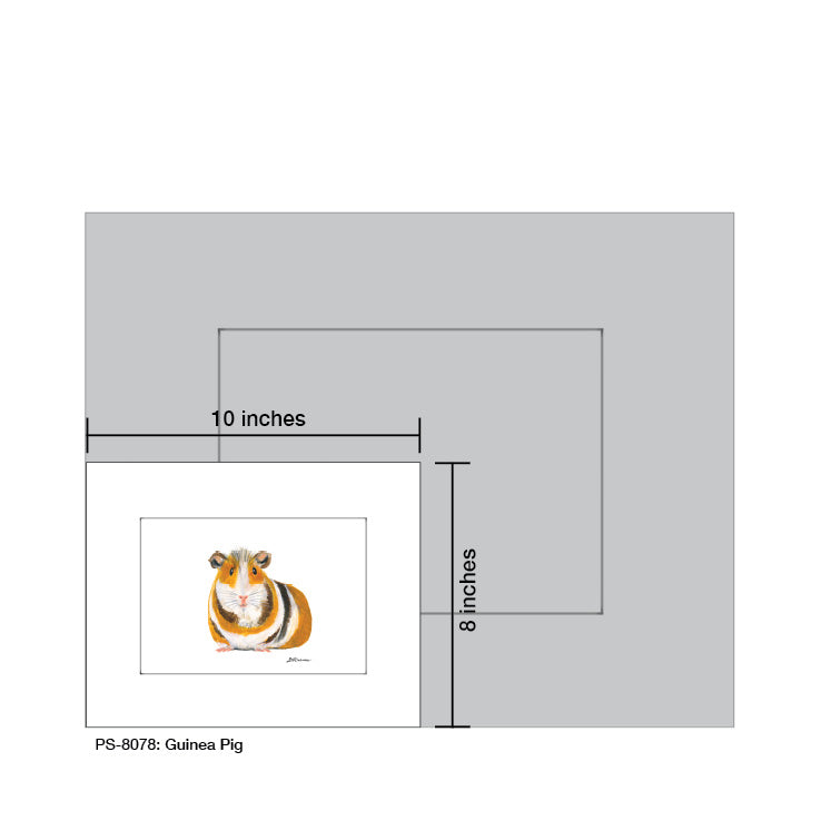 Guinea Pig, Print (#8078C)