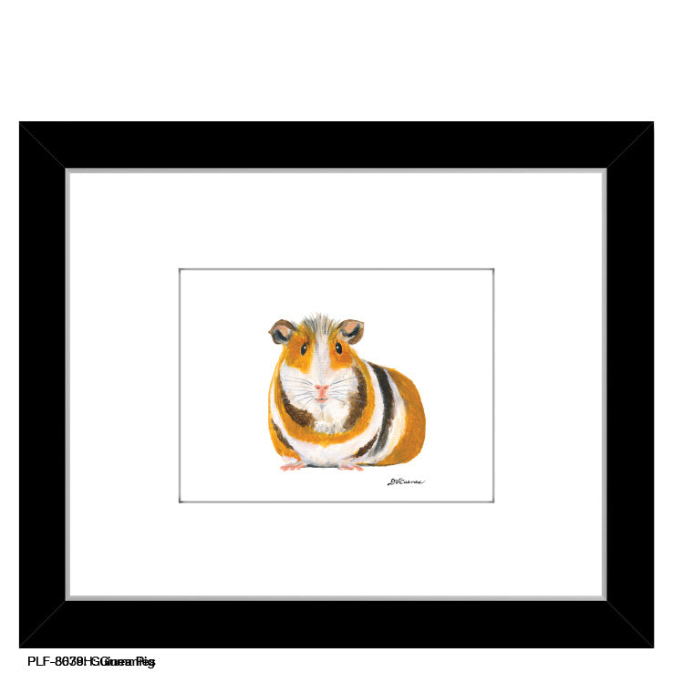 Guinea Pig, Print (#8078C)