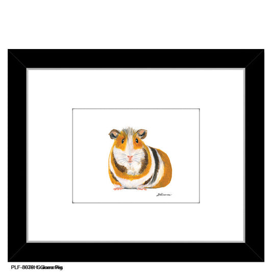 Guinea Pig, Print (#8078C)