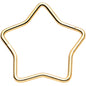 20G Seamless Hollow Star Nose Hoop Surgical Steel