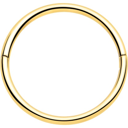 20G Implant Grade Titanium Half Closure Hinged Segment Ring