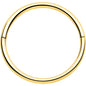 20G Implant Grade Titanium Half Closure Hinged Segment Ring