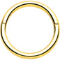 20G Implant Grade Titanium Half Closure Hinged Segment Ring
