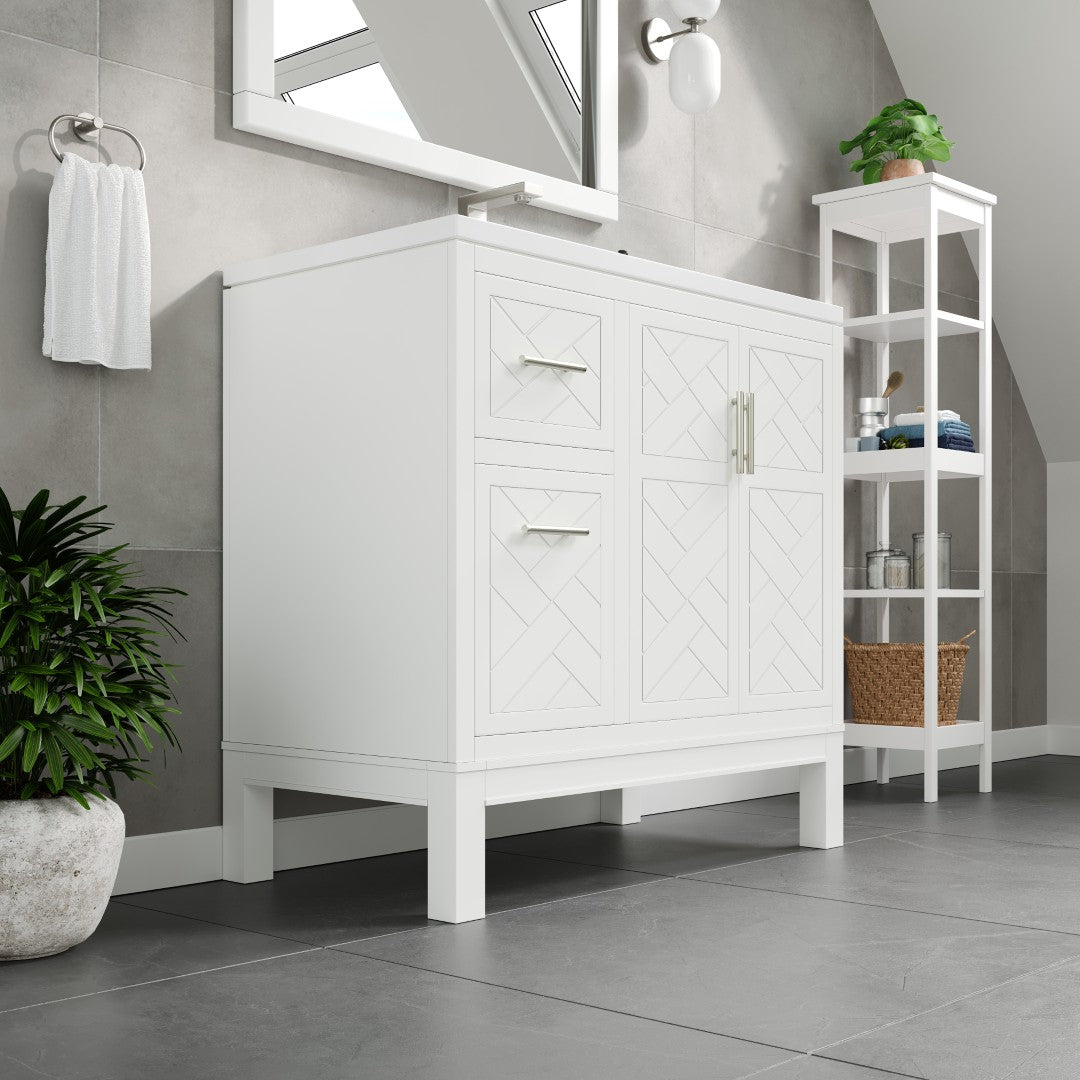 Eviva Cambridge 24 in. Gray Single Sink Bath Vanity with Quartz Top and Undermount Porcelain Sink (24"-60")