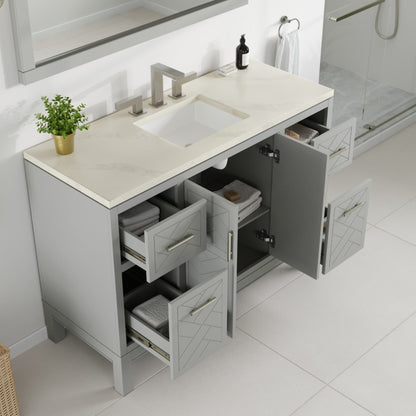 Eviva Cambridge 24 in. Gray Single Sink Bath Vanity with Quartz Top and Undermount Porcelain Sink (24"-60")