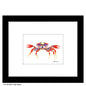 Crab Claws, Print (#8132A)