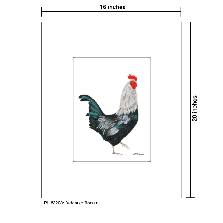 Ardenner Rooster, Print (#8220A)