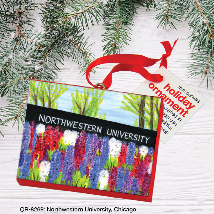Northwestern University, Chicago, Ornament (OR-8269A)