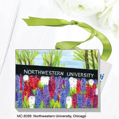 Northwestern University, Chicago, Mini Canvas (MC-8269A)