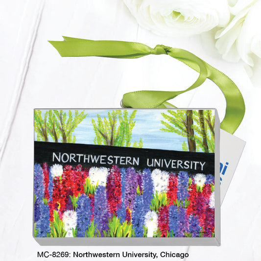 Northwestern University, Chicago, Mini Canvas (MC-8269A)