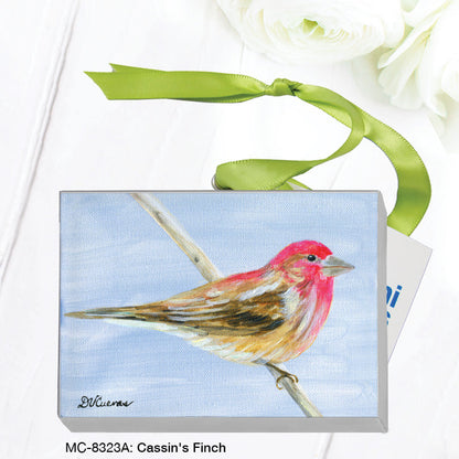 CassinÕs Finch, Mini Canvas (MC-8323A)