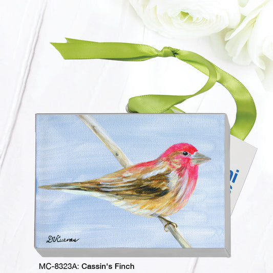 CassinÕs Finch, Mini Canvas (MC-8323A)