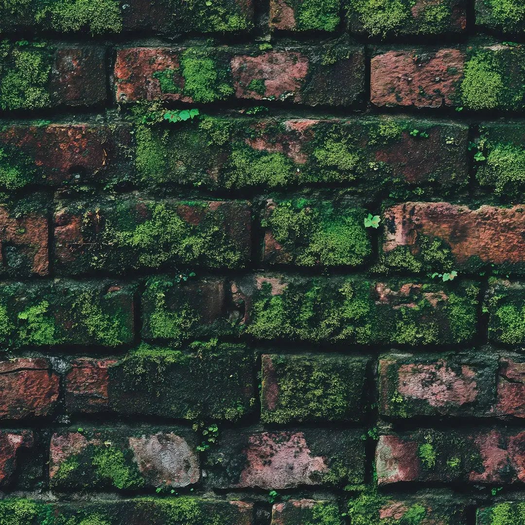 Verdant Cloister Wall