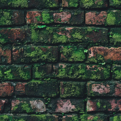 Verdant Cloister Wall