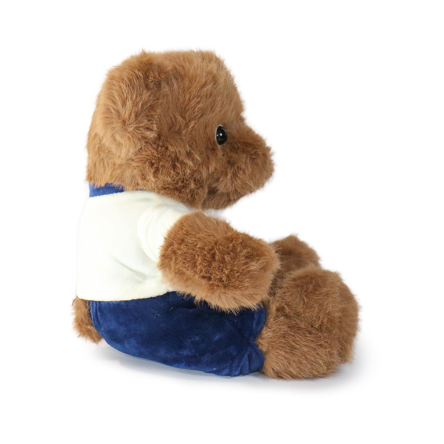 Fashionable Huggable Bear