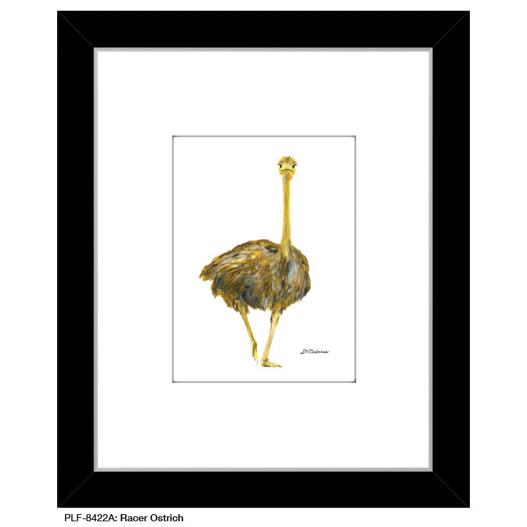 Racer Ostrich, Print (#8422A)