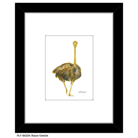 Racer Ostrich, Print (#8422A)